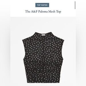 Abercrombie & Fitch: Paloma Mesh Top